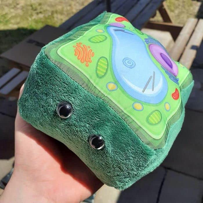 GIANT MICROBES Plant Cell Plush, Plant Cell Model, Anatomy Model, Plant Plush Toy, Cell Biology, Physiology, Biology Classroom Decor, Plant Anatomy - Image 4
